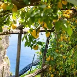 Hotel La Pergola 3*