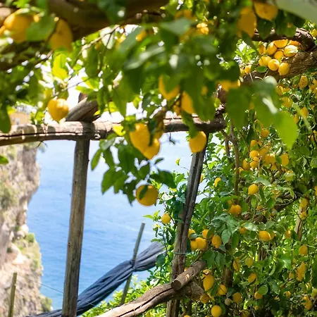 Отель La Pergola 3*