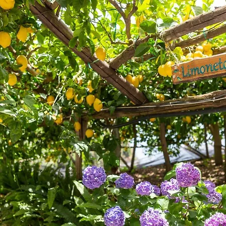 La Pergola Отель Амальфи