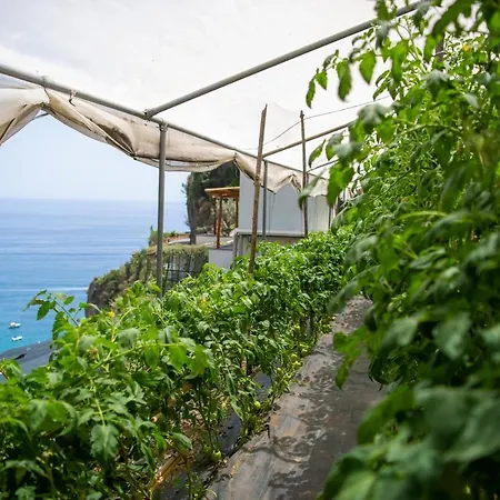 Отель La Pergola Амальфи