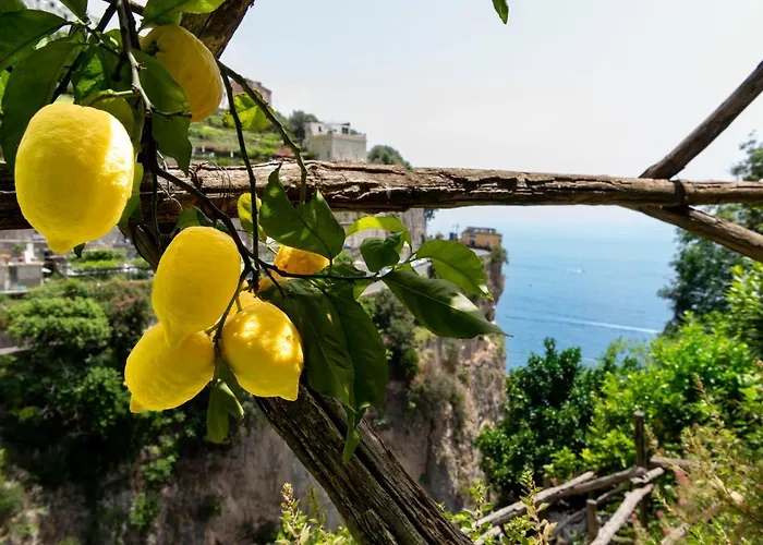 La Pergola 3*