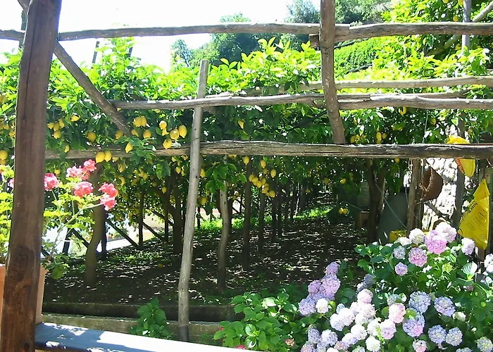 La Pergola Amalfi
