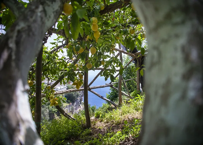 La Pergola