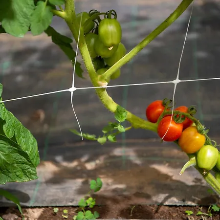 Hotel La Pergola Amalfi