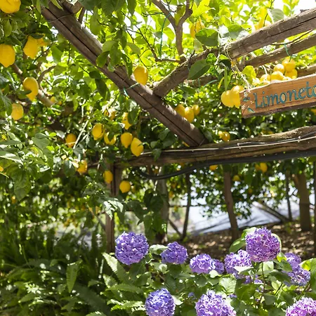 La Pergola Amalfi