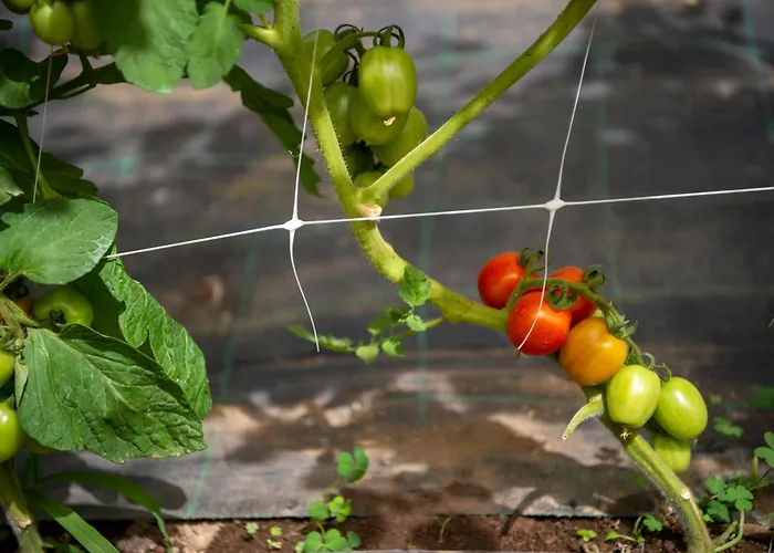 Hotel La Pergola Amalfi
